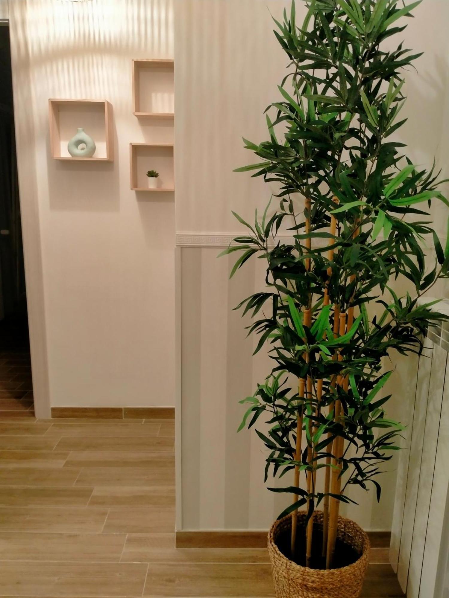 The Green Place Alloggio Turistico 罗马 外观 照片